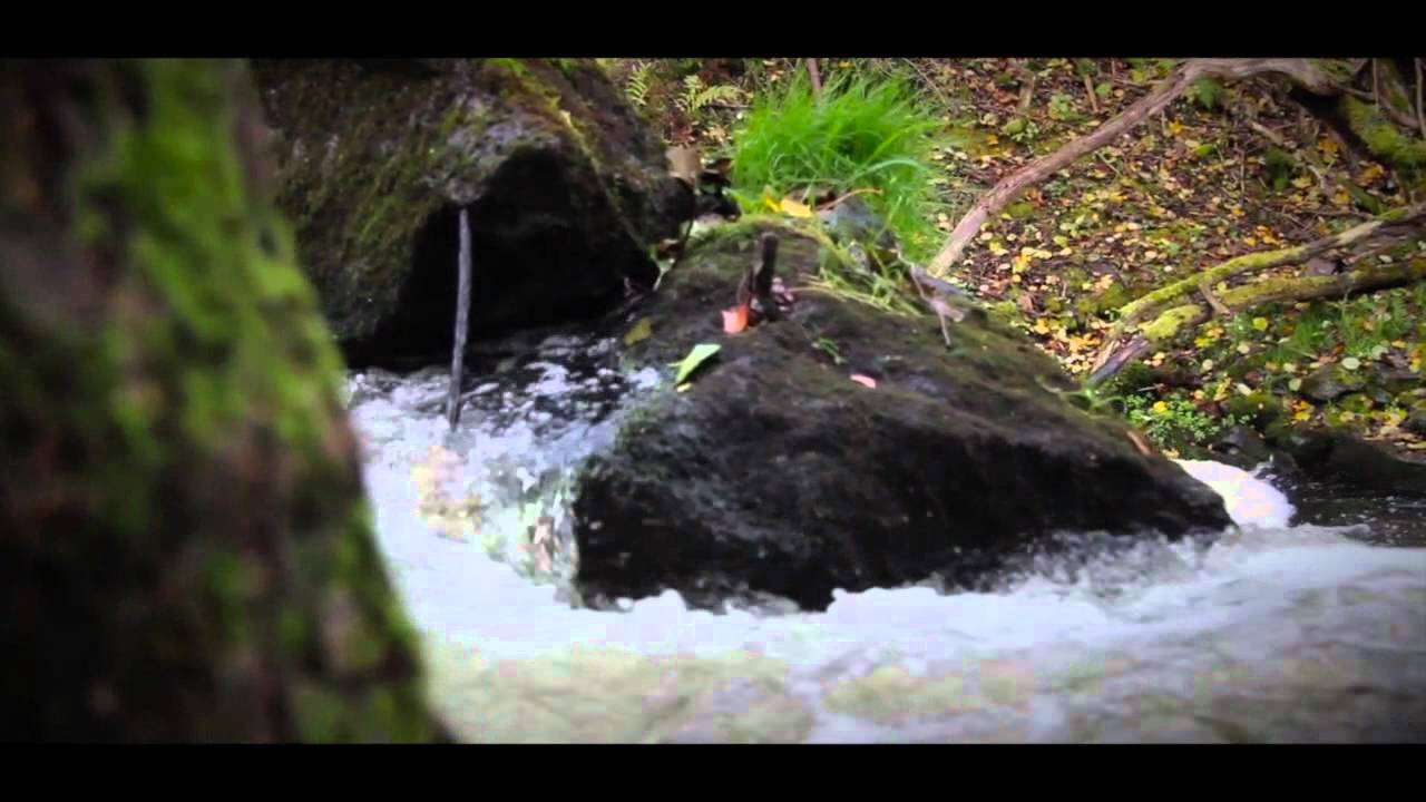 Big Trout!! Öringlek i Röttleån. Stor vätter öring
