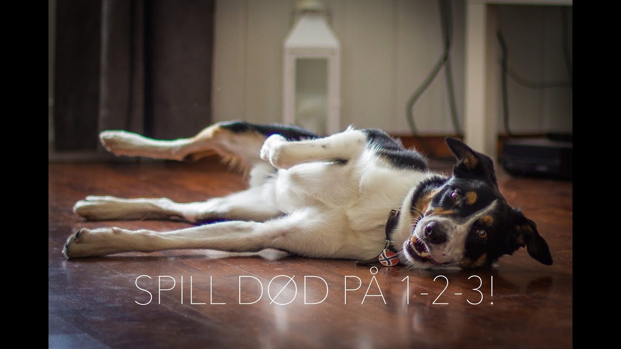 Triks: Spill død!