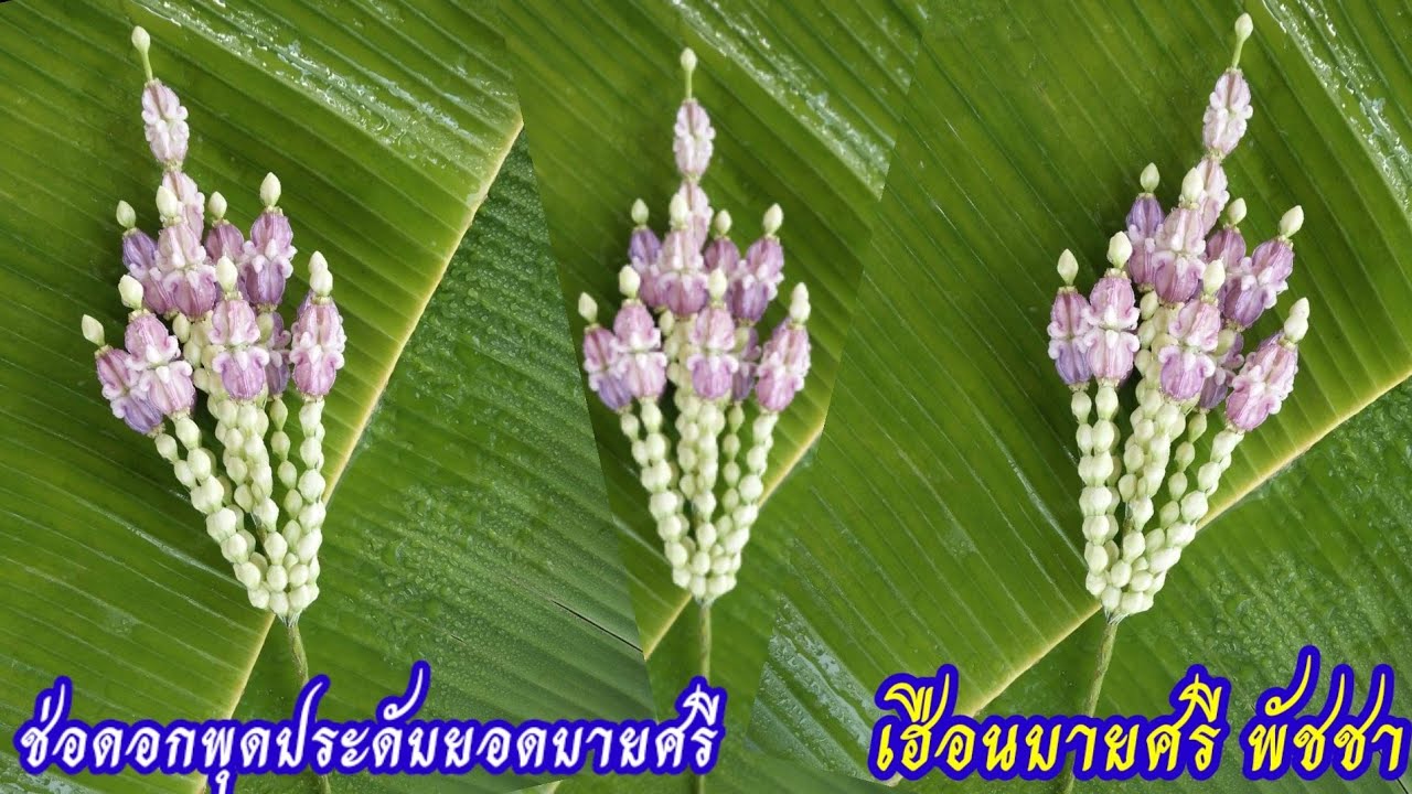 ช่อดอกพุดประดับยอดบายศรี