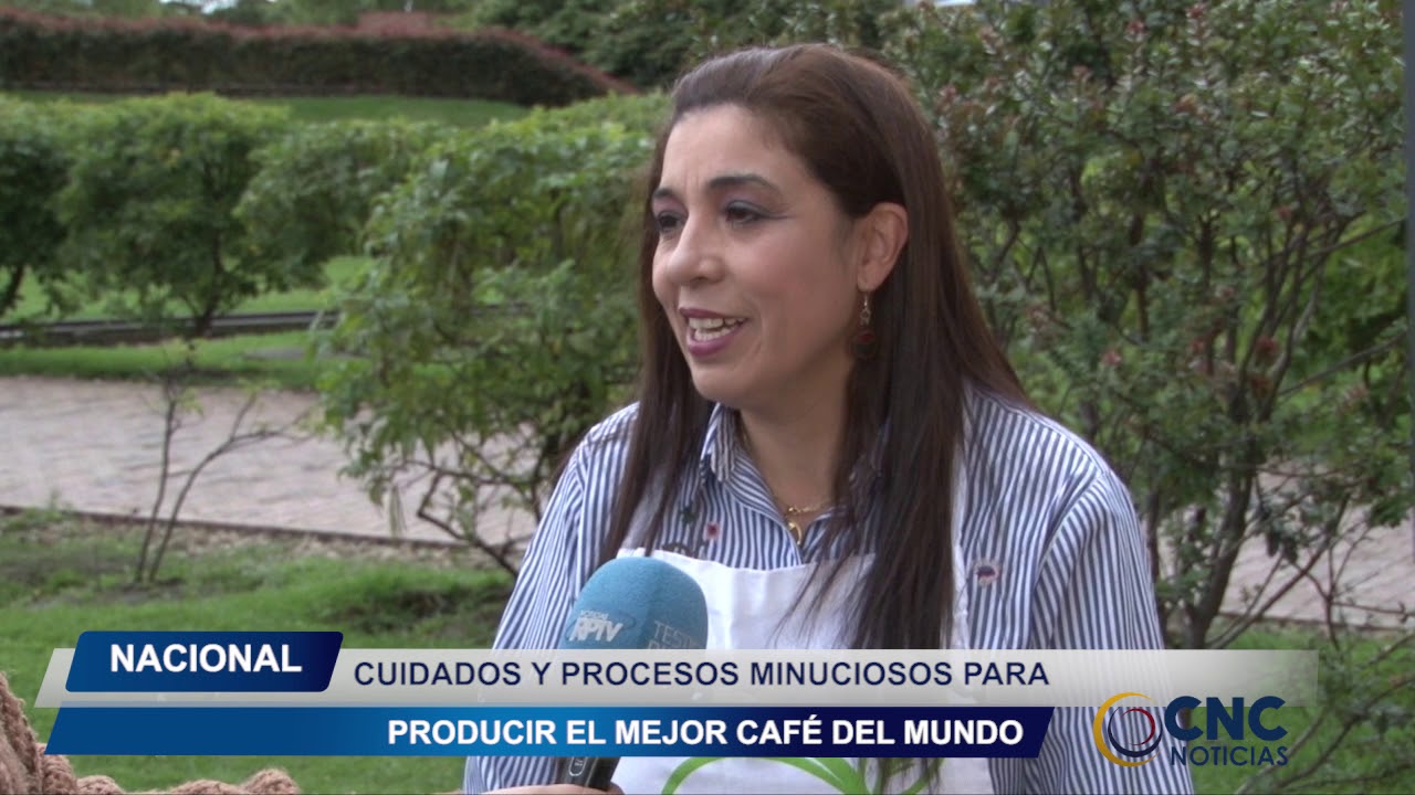 CUIDADOS Y PROCESOS MINUCIOSOS PARA PRODUCIR EL MEJOR CAF&Eacute; DEL MUNDO