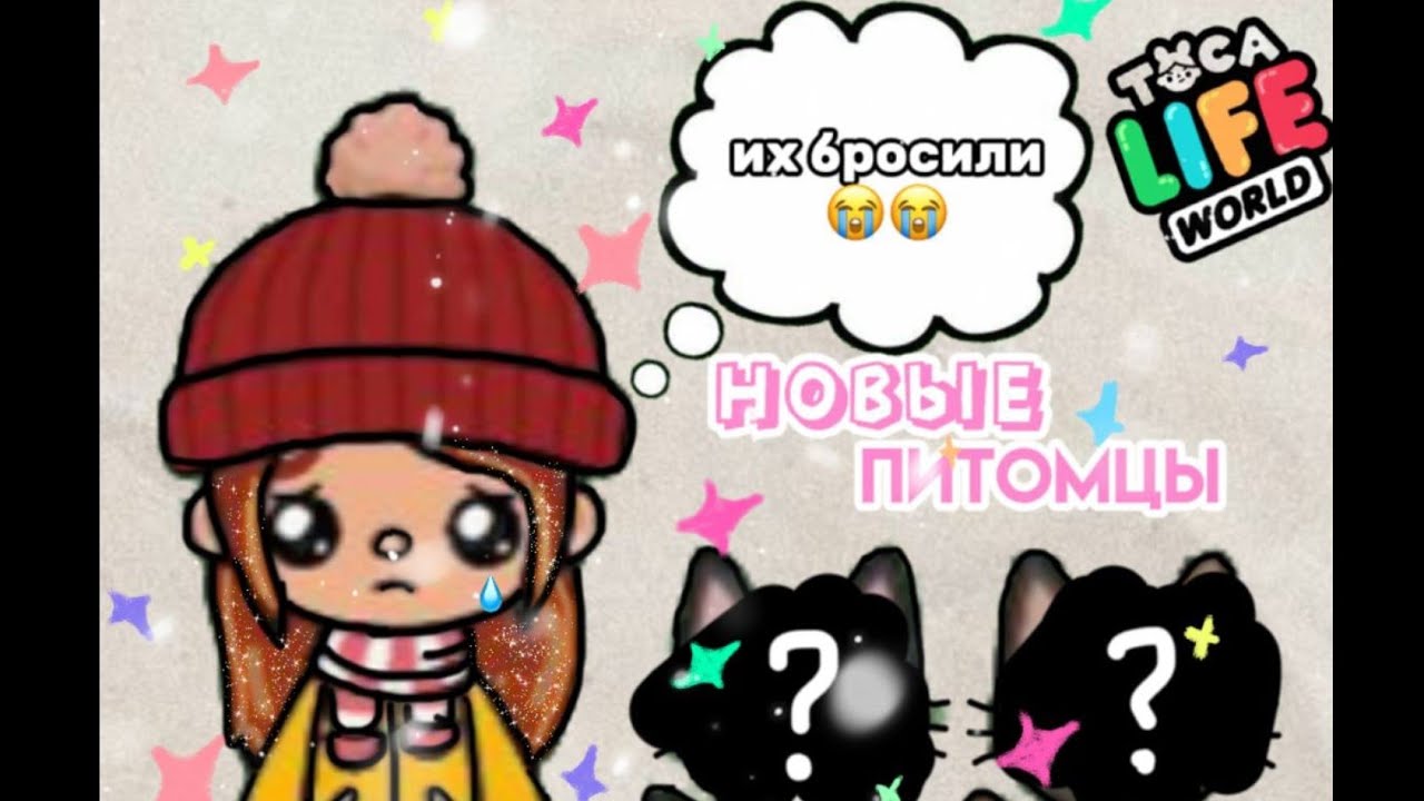 Я приютила двух бездомных котов в Toca boca