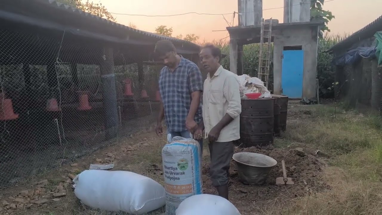 Poultry Manure is the most Powerful and Nutritious Organic Fertilizer (Anil poultry farm Garlapadu)