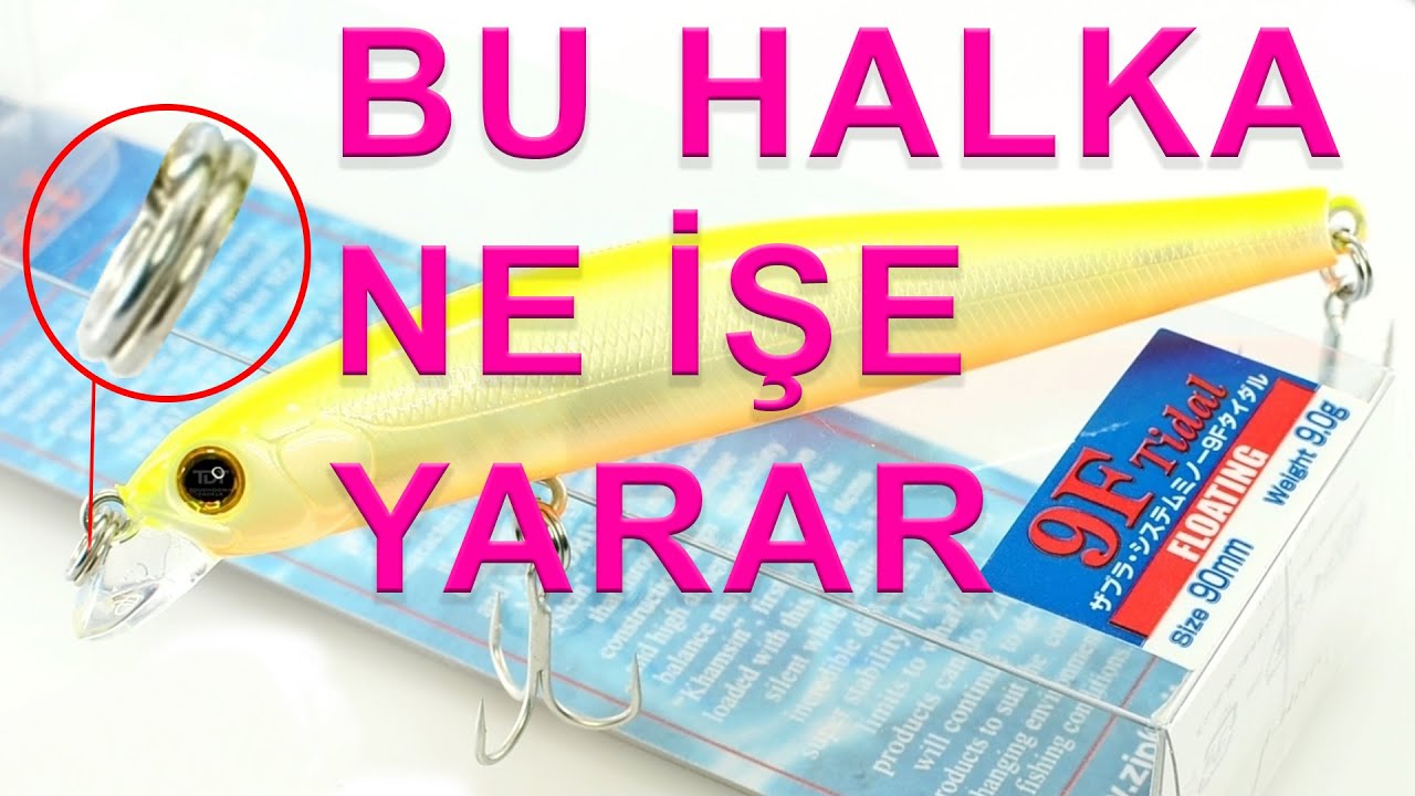 Maketlerin Önündeki Halka Gerekli mi?