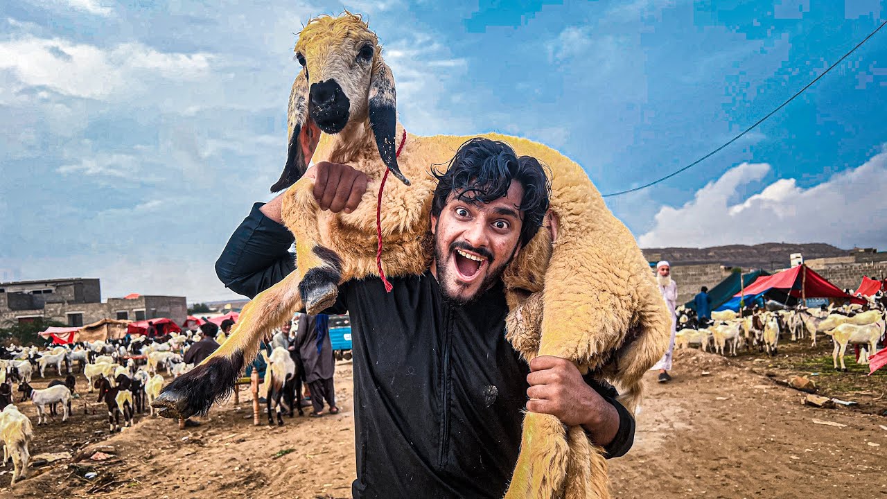 Apna Dumba Lelia 🐑 | Bakra Eid 2022 | Cow Mandi | Mishkat Khan (The Fun Fin)
