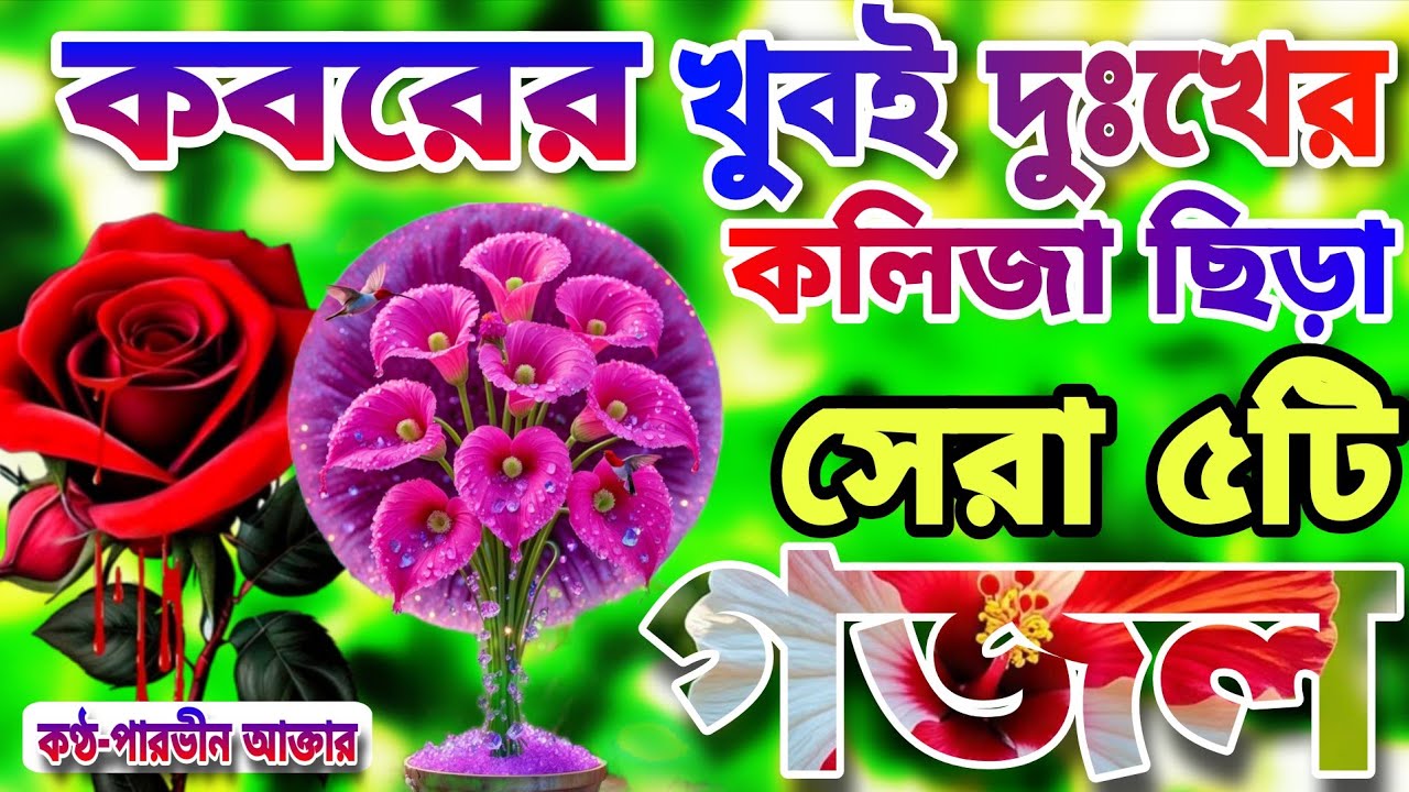খুবই দুঃখের কবরের মায়াবী কন্ঠে সেরা ৫টি গজল। Islamic songs।হায়রে মানুষ বুঝলানা। Parvin Aktar 