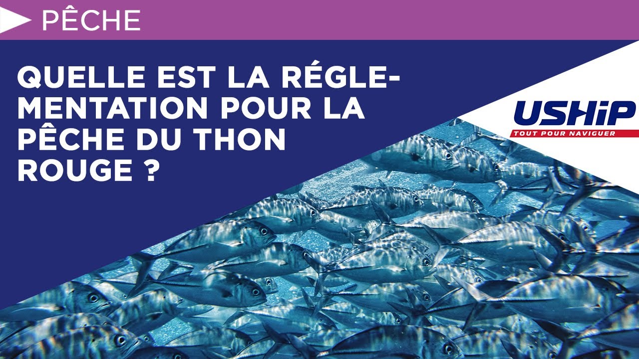 Quelle est la réglementation pour la pêche du thon rouge ? | USHIP