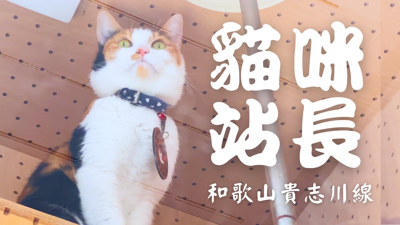 一條被貓咪拯救的電車鐵路｜和歌山電鐵貴志川線｜全紀錄｜日本旅行