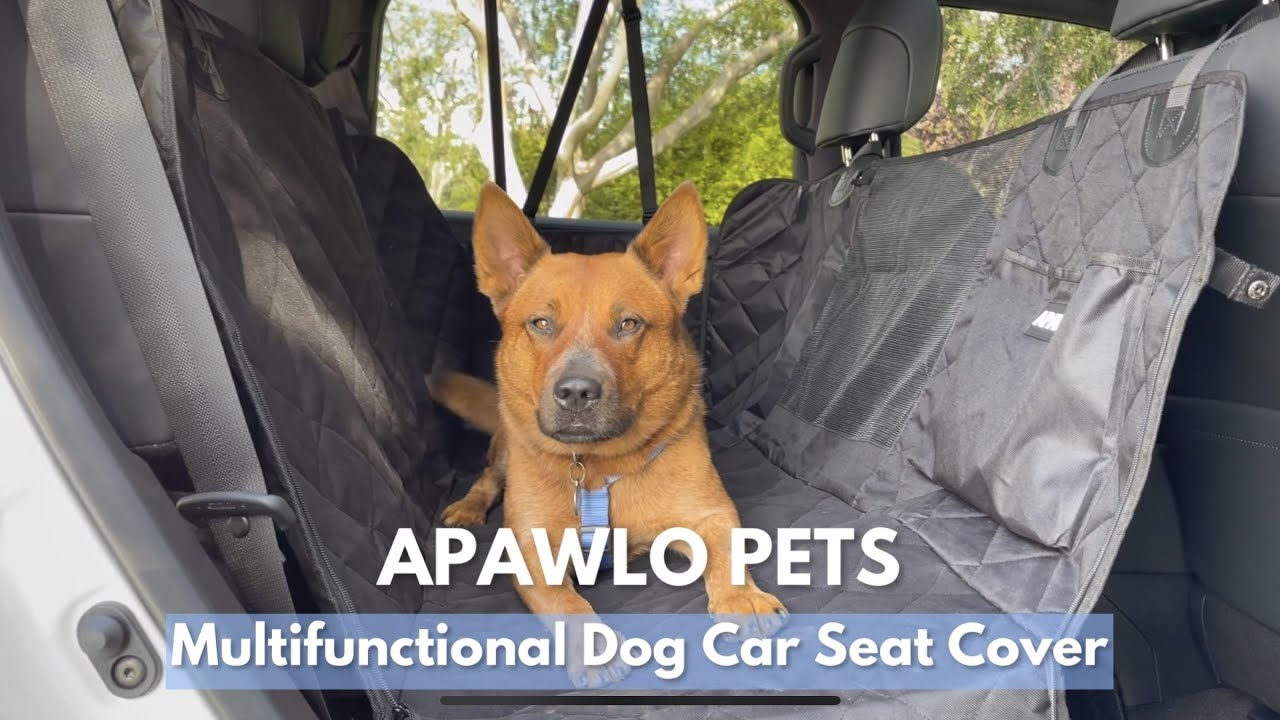 4-in-1 Dog Car Seat Cover Installation Guide | APAWLO Pets