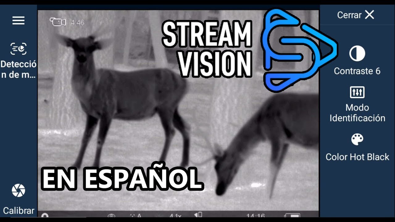 🐗 Cómo funciona Stream Vision para Pulsar en español