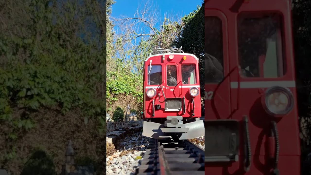 Fr&uuml;hling mit Gartenbahn und Katze #gartenbahn #gardenrailway #lgb #katze
