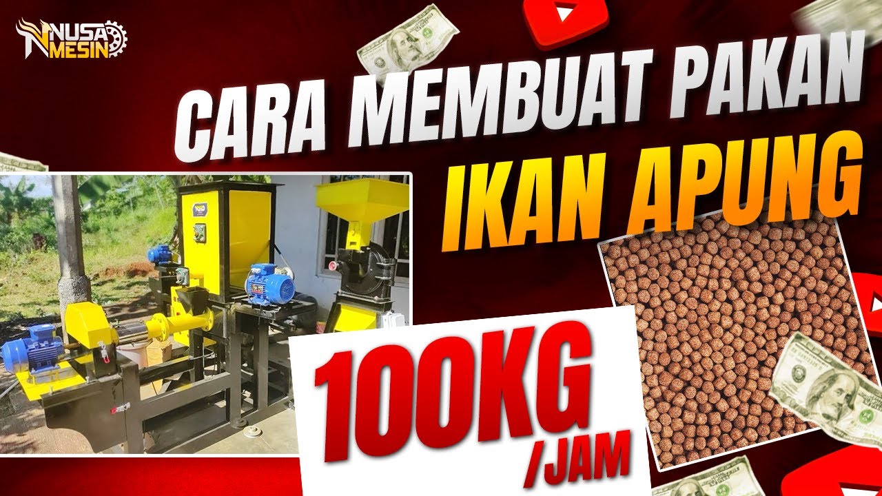 CARA KERJA MESIN EXTRUDER PELET APUNG: Ulas Proses Detail Pembuatan Pelet Apung | Mixer & FFC37