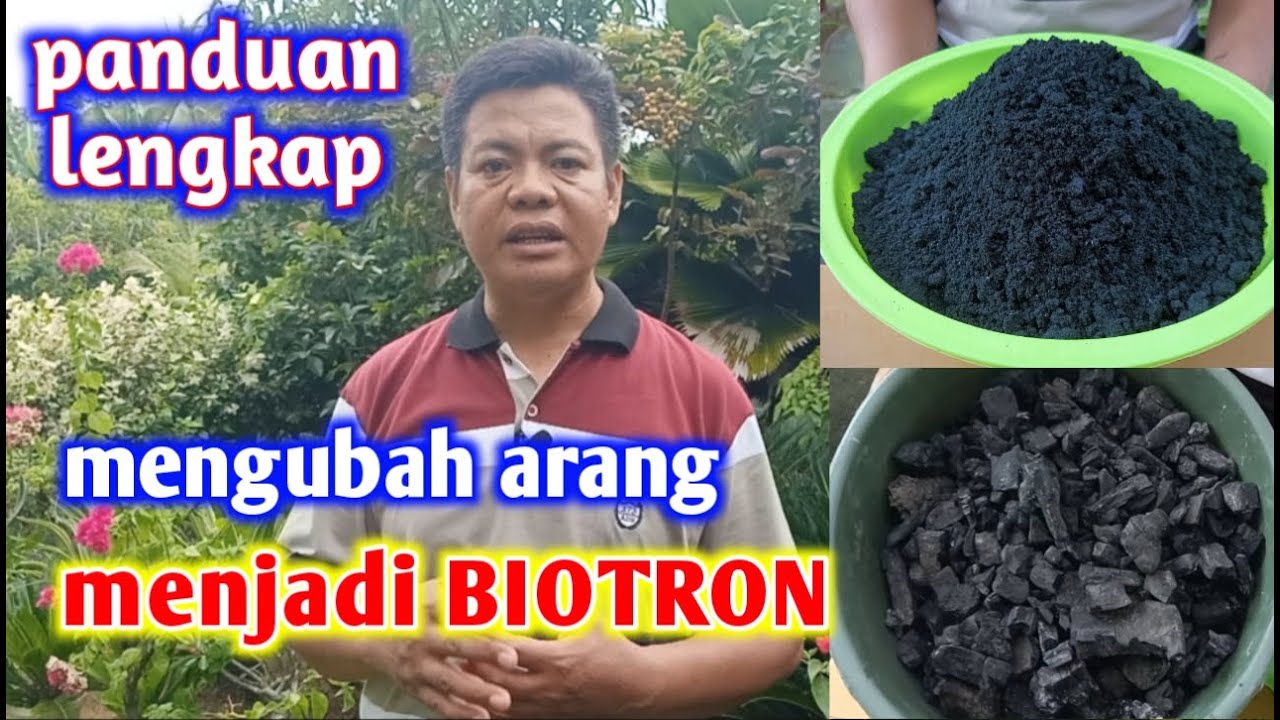 Panduan Lengkap Cara Mengubah Arang Jadi Biotron