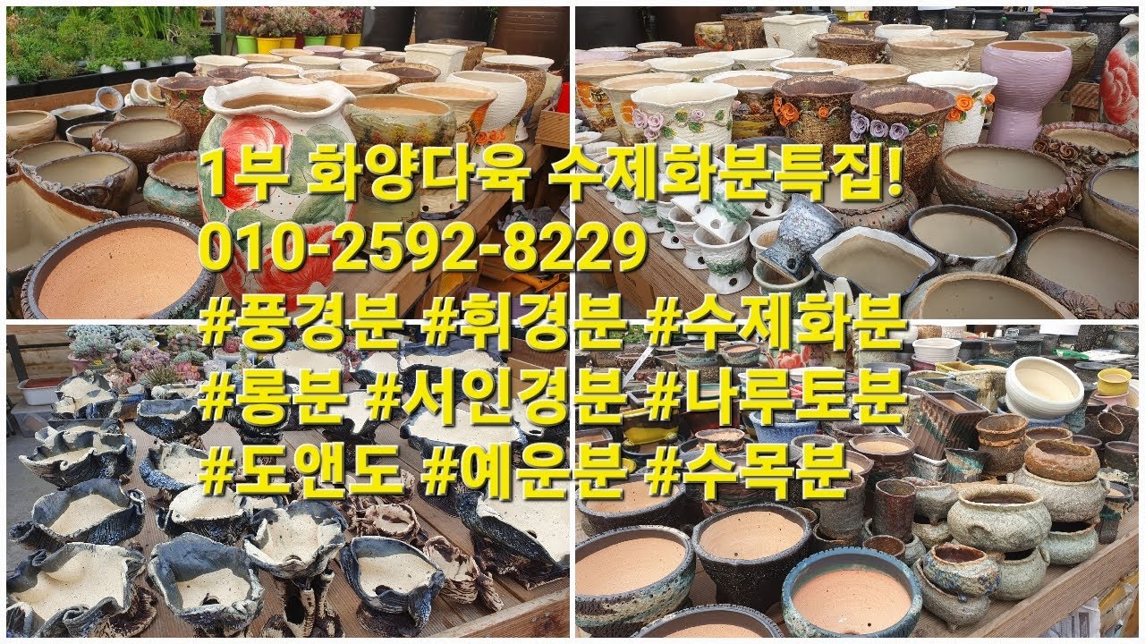 1부 화양다육 수제화분특집!010-2592-8229  #풍경분 #휘경분 #수제화분 #롱분 #서인경분 #나루토분 #도앤도 #예운분 #수목분