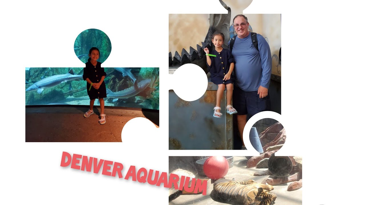 At Denver Aquarium / Colorado getaway