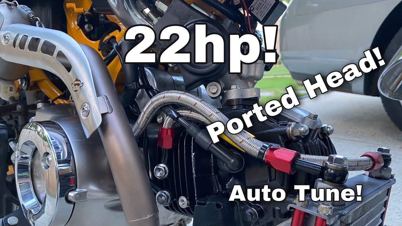 181cc Monkey Upgrades! Ported Head and More!