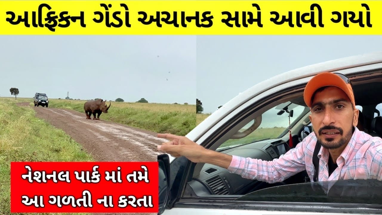 નૈરોબી🇰🇪નેશનલ પાર્ક માં રાહીનો અચાનક સામે આવયો | લેન્ડકુરુજાર કાદા માં ફસાઈ