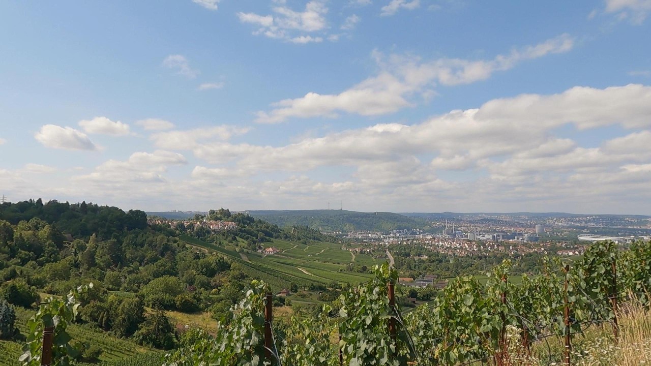 Conqueror Challenge - virtual Camino de Santiago trail. Part 2.