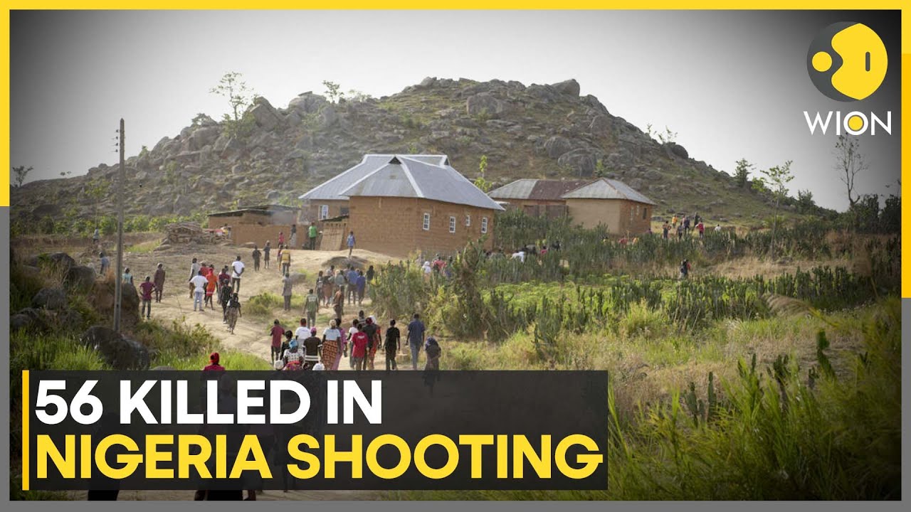 Nigeria Violence: Governor's Office Revises Previous Toll Of 17 In Benue State | WION