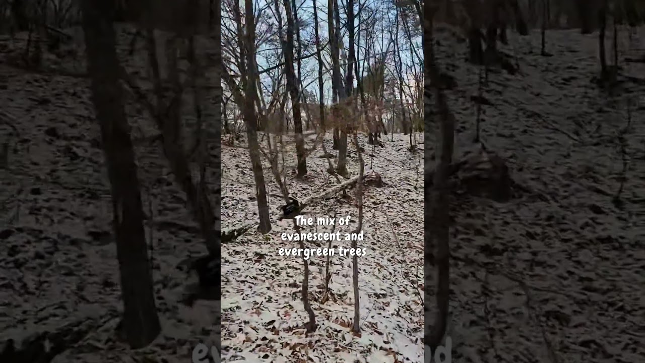 Winter mountains in Korea. It is really easy to hike, and the mood is awesome!