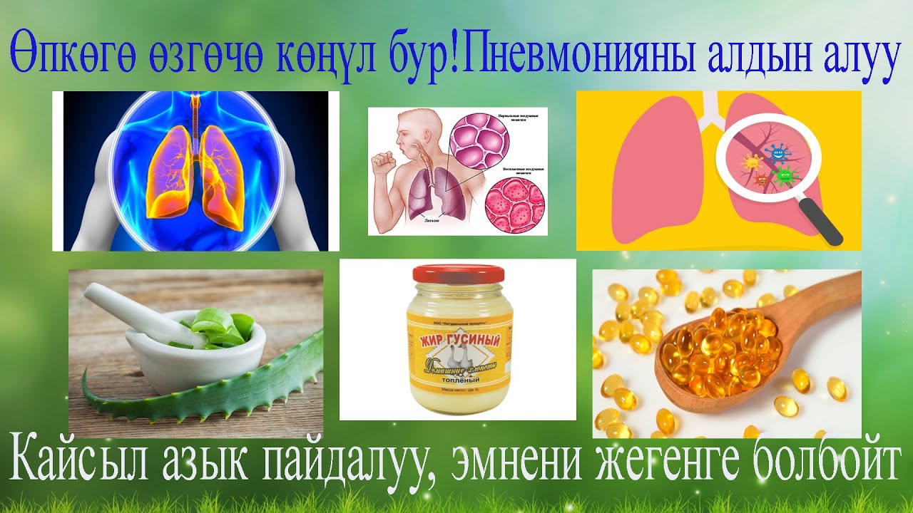Пневмонияны алдын алуу, кайсыл азыктар пайдалуу, эмнени жегенге болбойт. Өпкөгө өзгөчө көңүл бур!