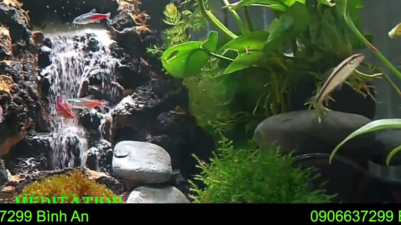 LIVE 06022026 616B Relax for Healing for Insomnia