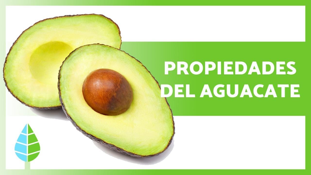 BENEFICIOS del AGUACATE 🥑 (Propiedades, C&oacute;mo comerlo y Contraindicaciones)