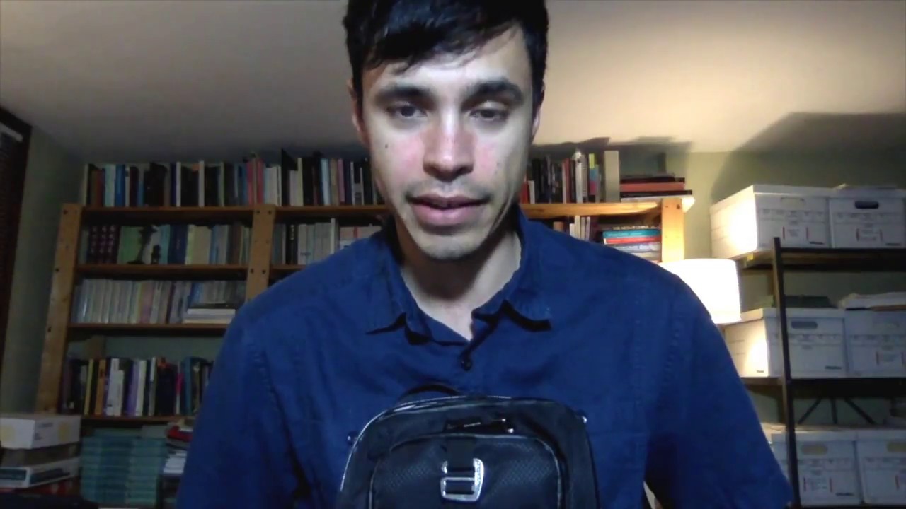 Battle of the pacsafe sling-style travel packs: Venturesafe X vs. Vibe 325