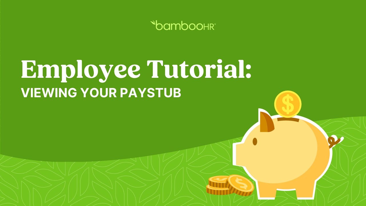Employee Tutorial: Pay Info Tab | Viewing Your Pay Stub In BambooHR