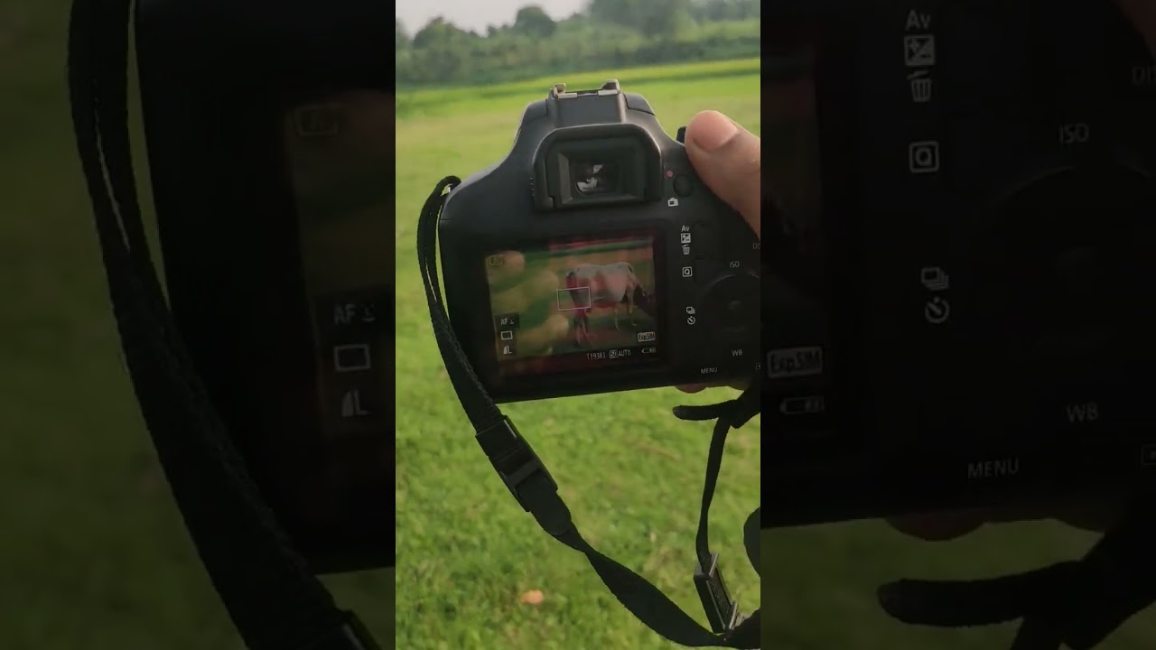 Canon EOS 3000D Portrait Photography Test With Prime Lense #canondslr