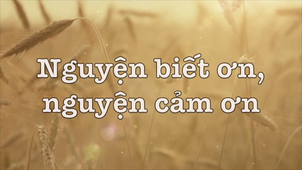 Cảm Ơn Ngài (Karaoke Viet)