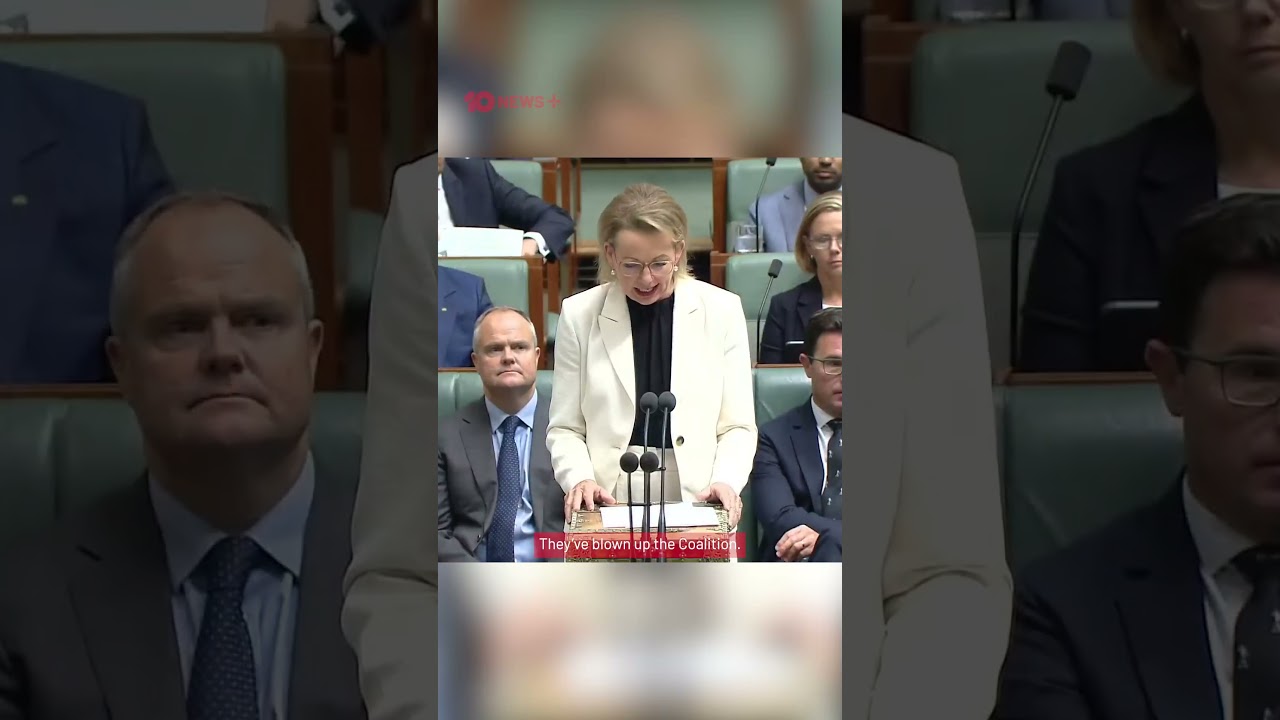 Coalition Split Could See More Support for One Nation | 10 News+