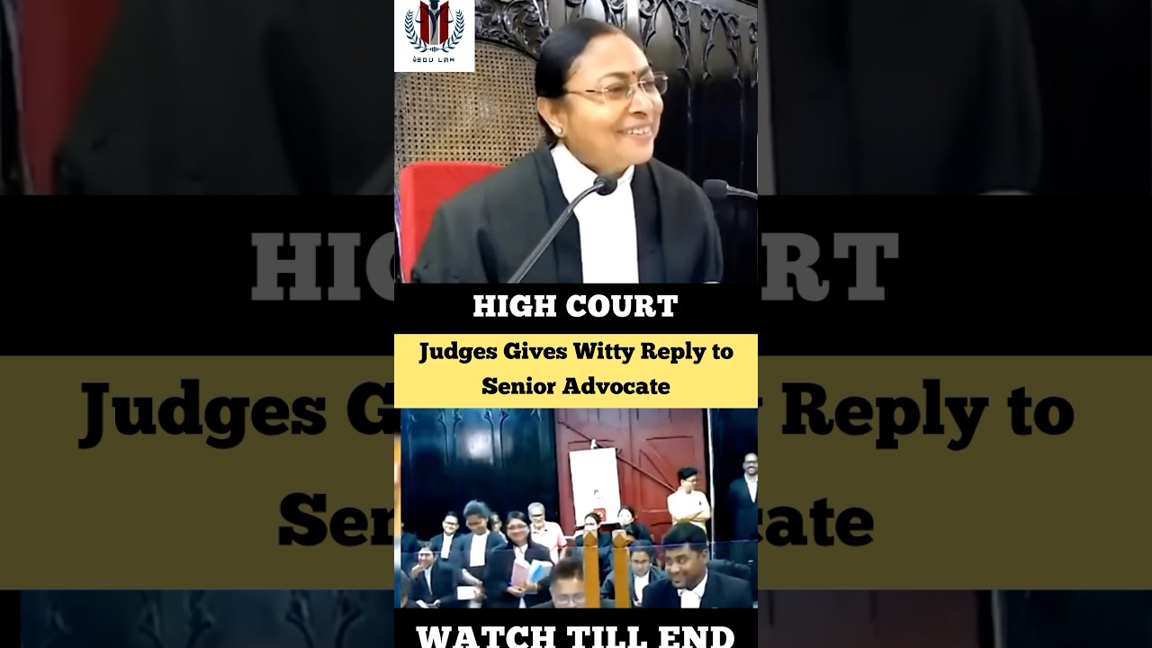 Judge gives Witty Reply to Senior Advocate #judge #advocate #highcourt #shortvideo