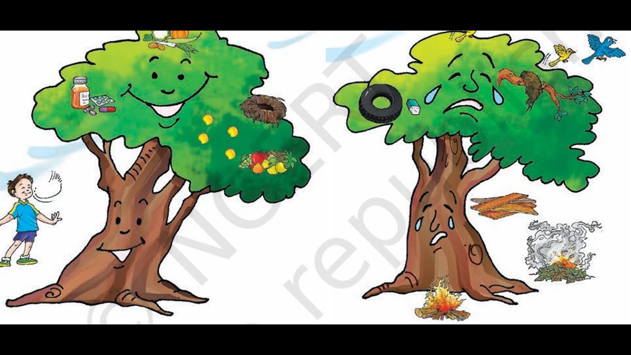 🌱 Little by Little | Class 3 Marigold Book | Part 1 | EduSpark #hindi #ncert #class3 #education