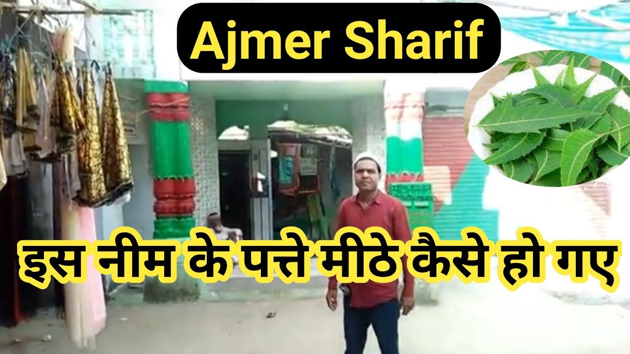 Ajmer Sharif men Mitha neem karamat अजमेर शरीफ में नीम के पत्ते मीठे कैसे होगये TARAGADH तारागढ़