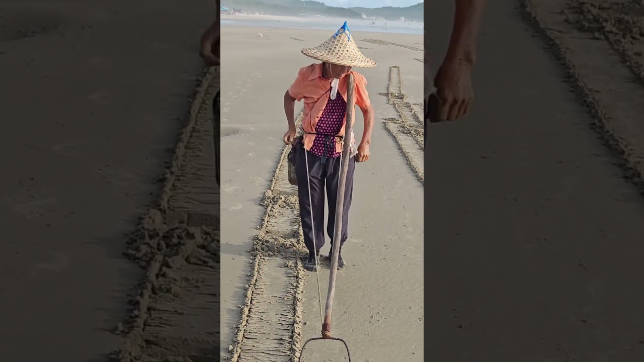 Seafood Search on the Beach | Clam Picking