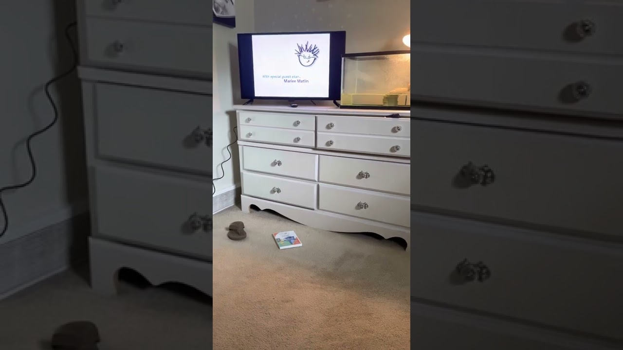 My first signs opening