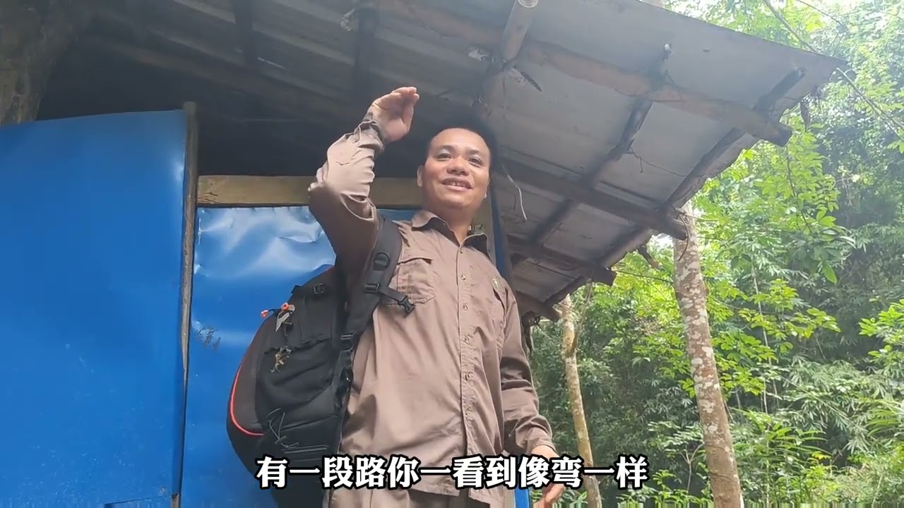 海南热带雨林国家公园：我看得懂，并且我大受震撼。 #在抖音学习 #寒假充电计划