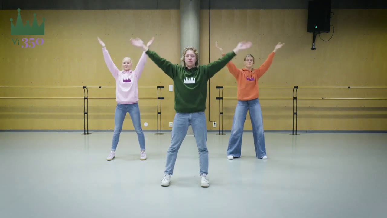 Danseinstruksjoner Rap: Larvikssangen 