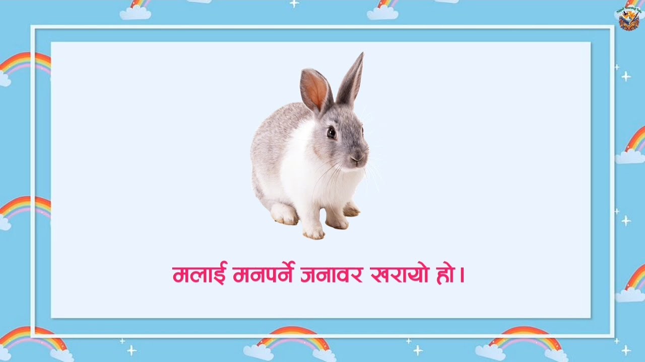 मनपर्ने जनावरको बारेमा निबन्ध // Essay on favourite animal //  Essay on rabbit  // #kidsvideo