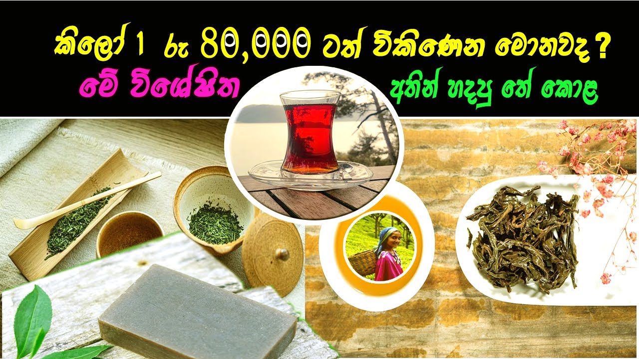 Ceylon Handmade Tea | Specialty Tea