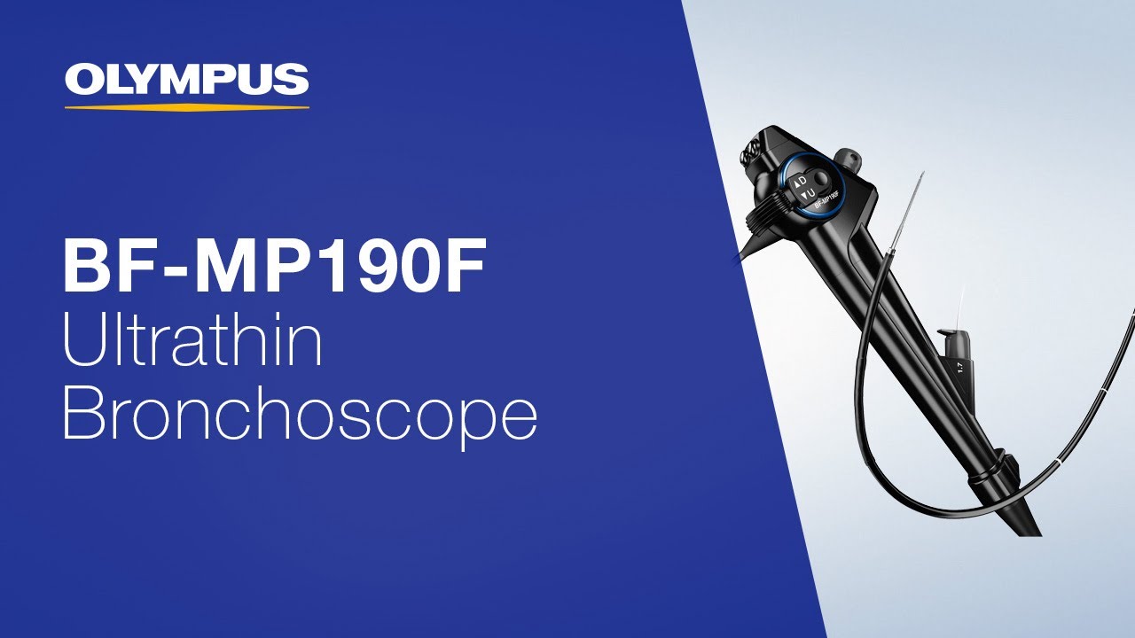 BF-MP190F and PeriView FLEX needle - reaching & sampling  SPNs