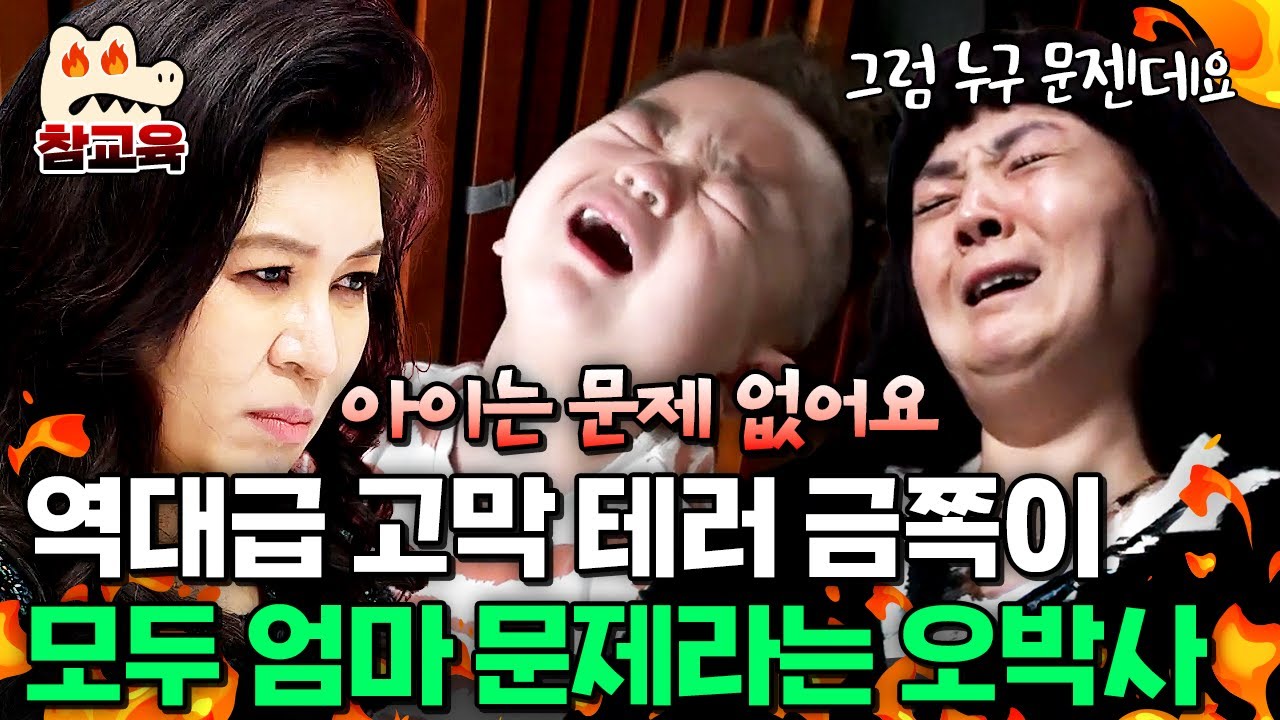 [#참교육] 고막주의♨ 24시간 악다구니 쓰는 금쪽이에 이명까지 생긴 엄마?! | #금쪽같은내새끼 41회