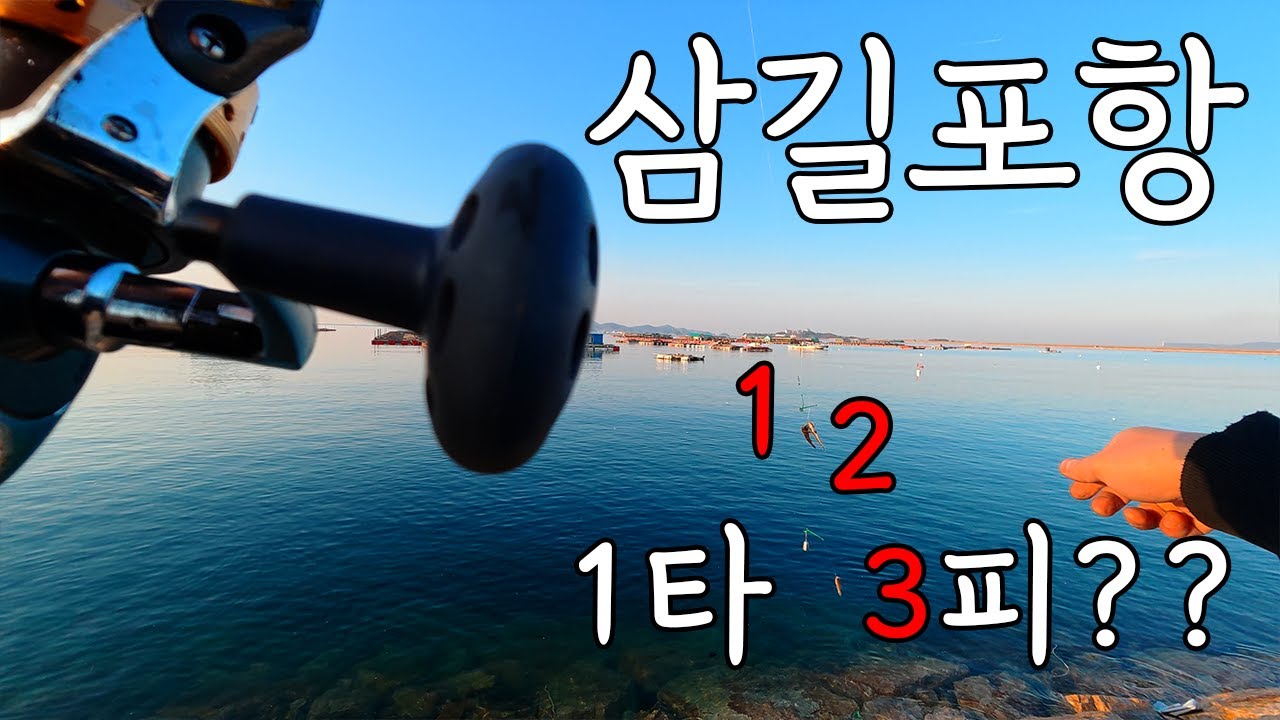 삼길포항 원투낚시 묶음추 1타 3피 올킬했지만 허탈한 이유...
