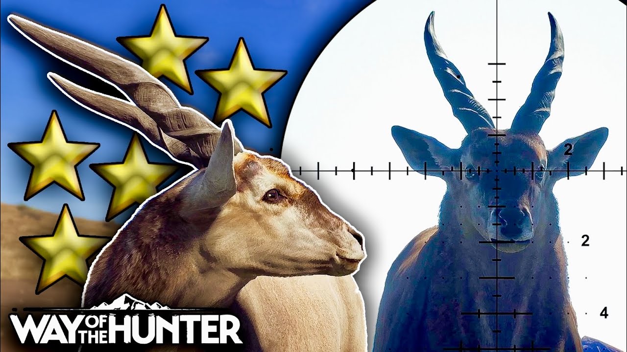 HUNTING THE NEW, GIANT 5 STAR ELAND IN WAY OF THE HUNTER AND TALKING ABOUT THEM!