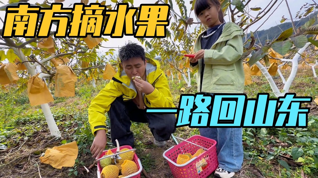 从南方摘一车水果返程山东，房车快塞不下了，一路美食相伴【家和远方的旅行】