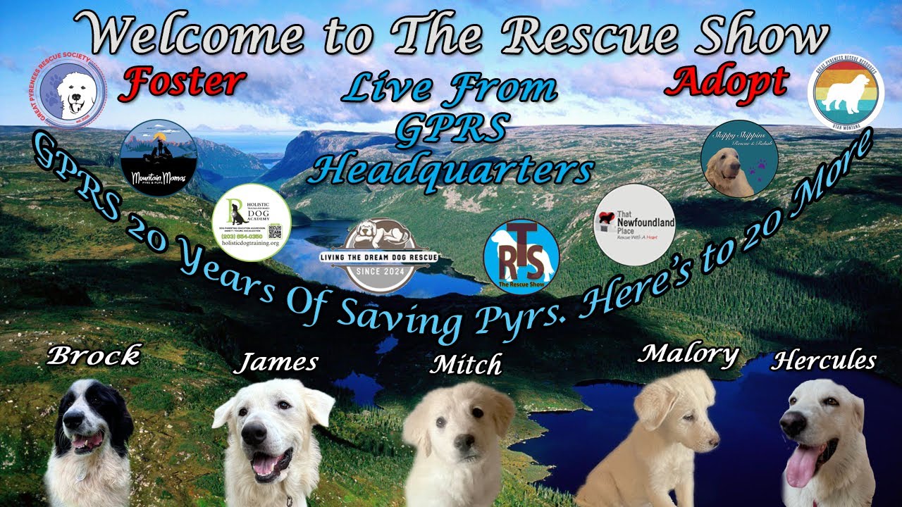 The Rescue Show Live 2-22-2026