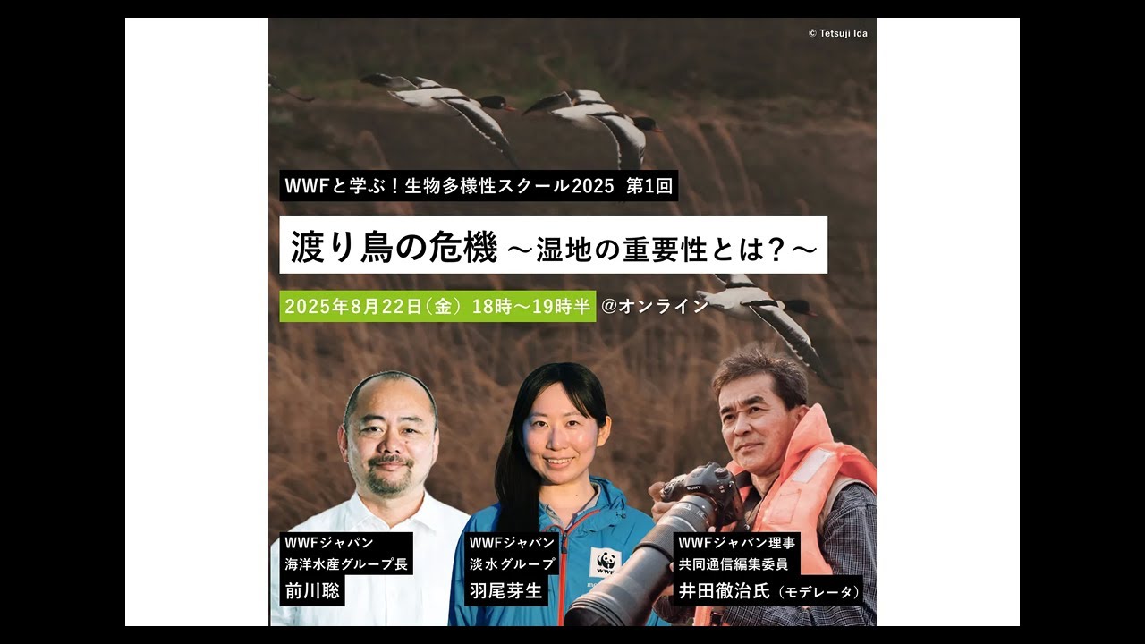 【イベント動画】WWFと学ぶ！生物多様性スクール2025 第1回 「渡り鳥の危機～湿地の重要性とは？～」
