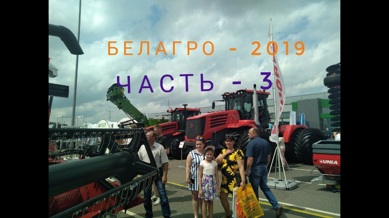 Выставка 