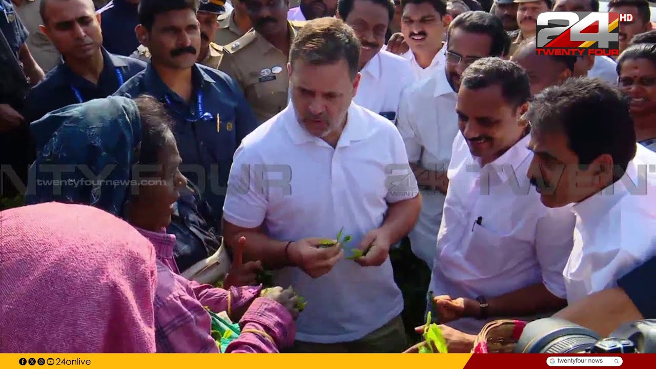 രാഹുൽ ഗാന്ധി പീരുമേട്ടിൽ; ഗ്ലൻമേരി എസ്റ്റേറ്റിൽ തോട്ടം തൊഴിലാളികളുമായി സംവദിക്കുന്നു | Rahul Gandhi