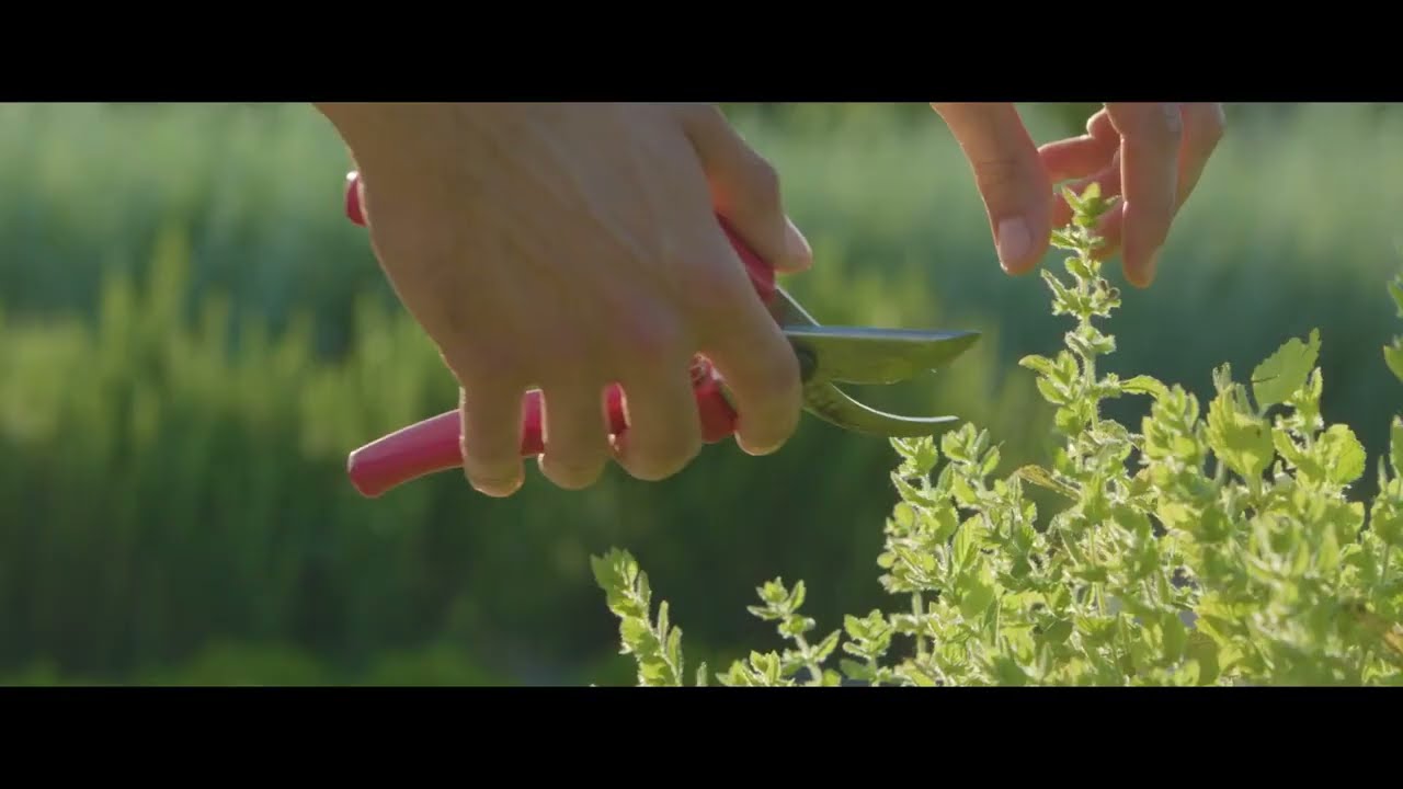 La Raia - Locanda La Raia